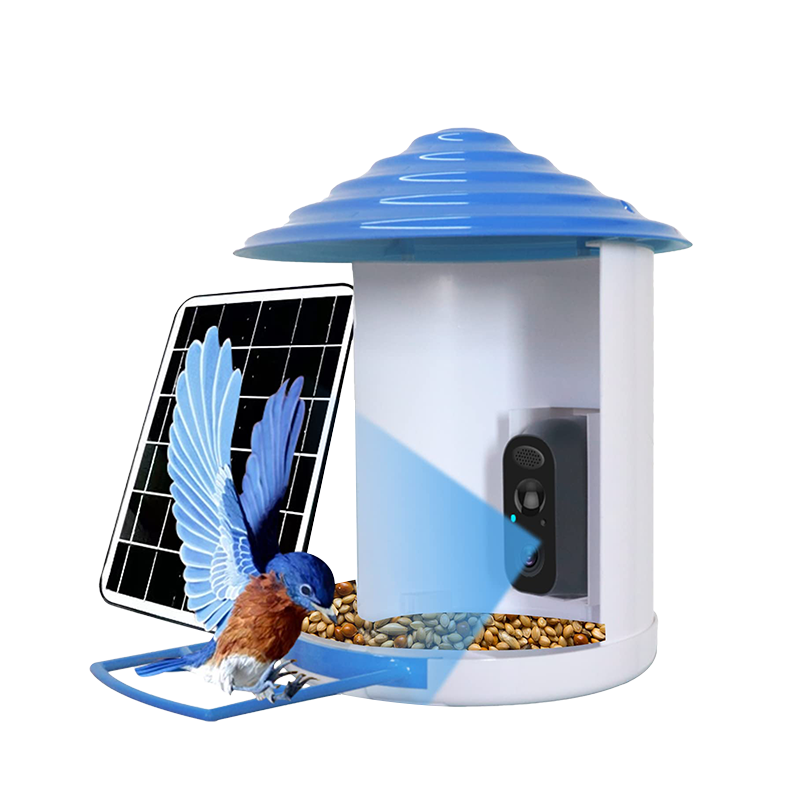 Top 5 Hummingbird Feeders